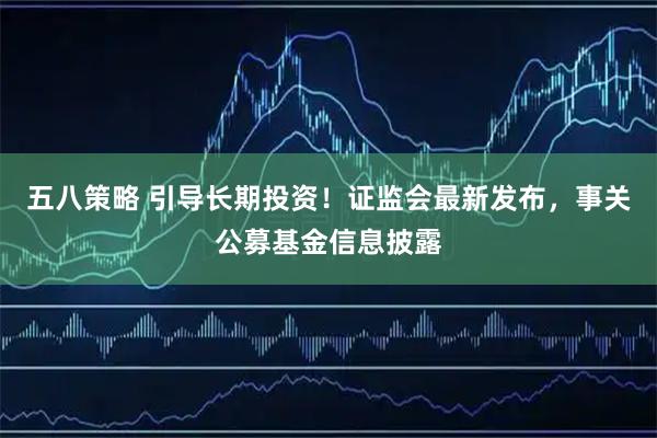 五八策略 引导长期投资！证监会最新发布，事关公募基金信息披露