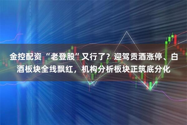 金控配资 “老登股”又行了？迎驾贡酒涨停、白酒板块全线飘红，机构分析板块正筑底分化